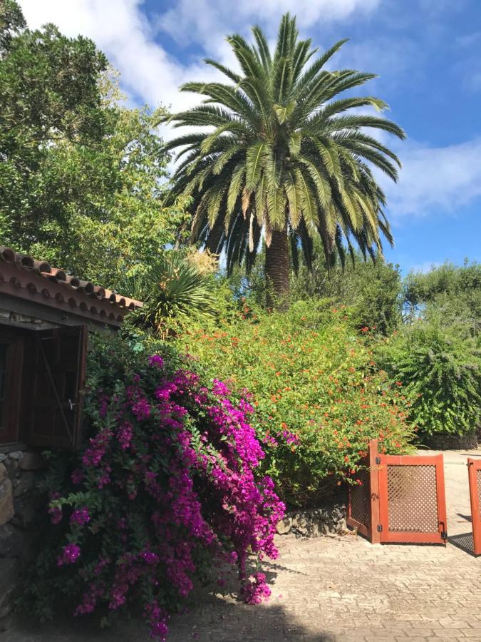 Rincon De Abanes - Casa Jardin-vv Apartment